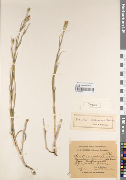 LE 01219418