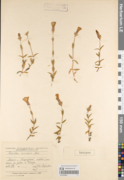 LE 01219431