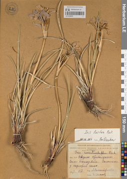 LE 01220979