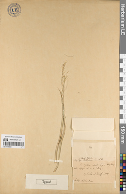 LE 01195538