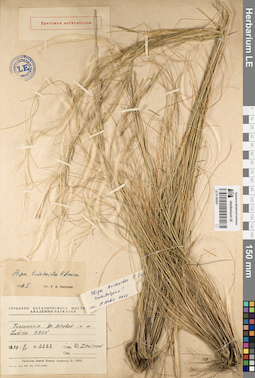 LE 01195551