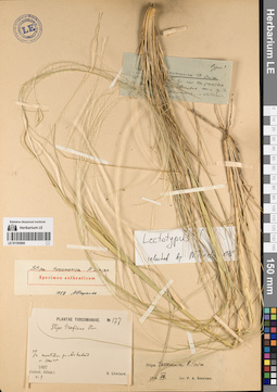 LE 01195568