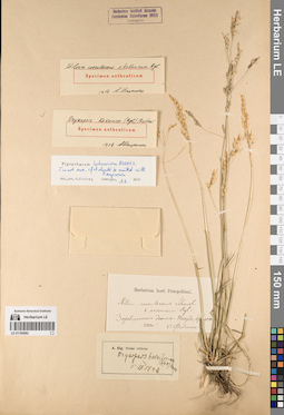 LE 01195582
