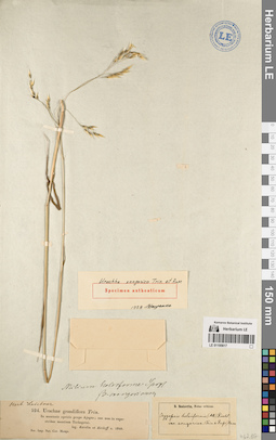 LE 01195617