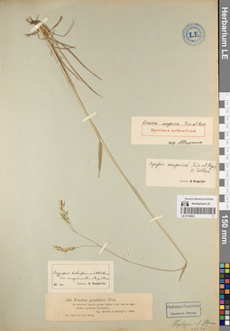 LE 01195621