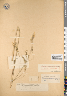 LE 01195622