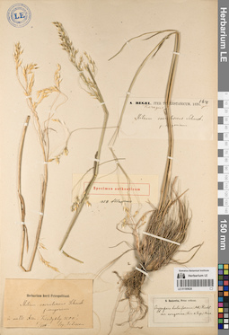 LE 01195628