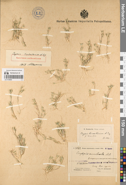 LE 01195653