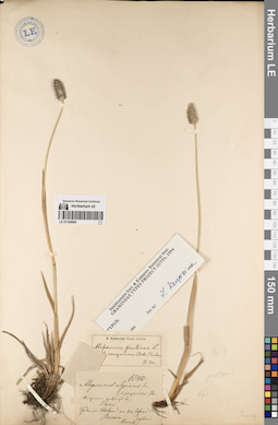 LE 01195683