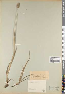 LE 01195691
