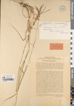 LE 01195707