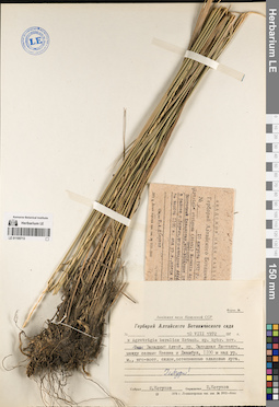 LE 01195713