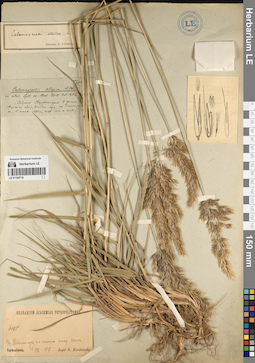 LE 01195716