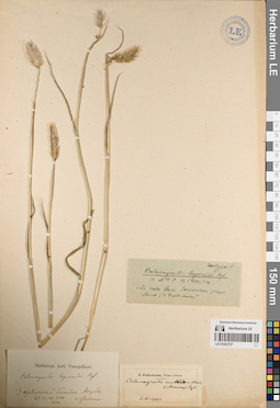 LE 01223737