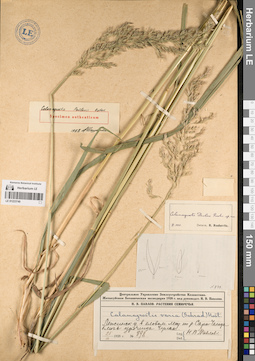 LE 01223749