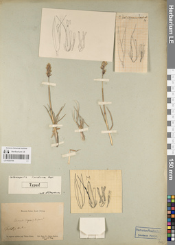 LE 01223755