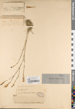 LE 01219751