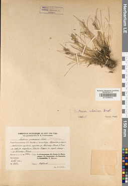 LE 01009631