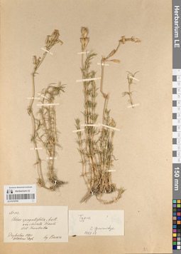 LE 01219755
