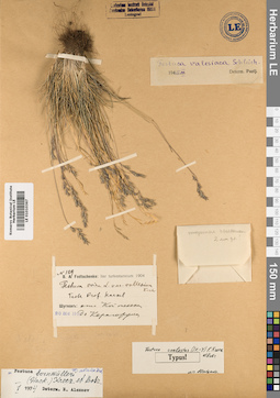 LE 01010367