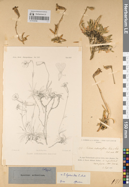 LE 01219756