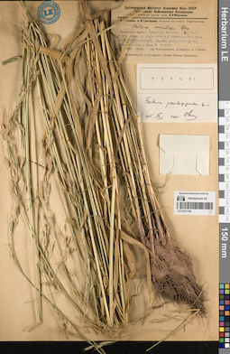 LE 01071780