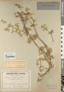 LE 01219759