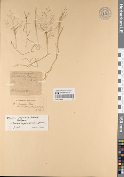 LE 01224084