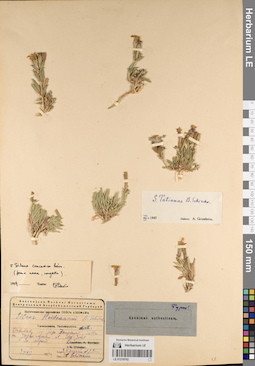 LE 01219762