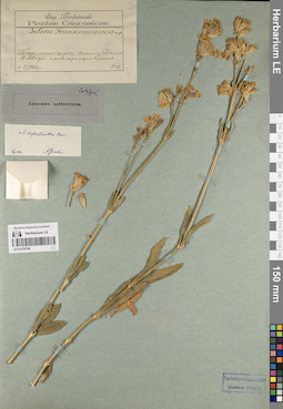 LE 01219764