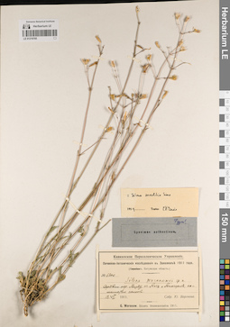 LE 01219765