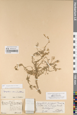 LE 01219766