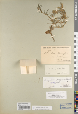 LE 01219768