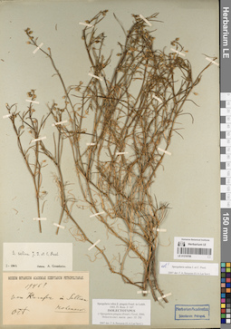 LE 01219769