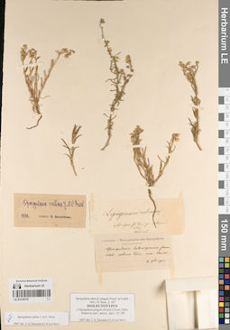 LE 01219770