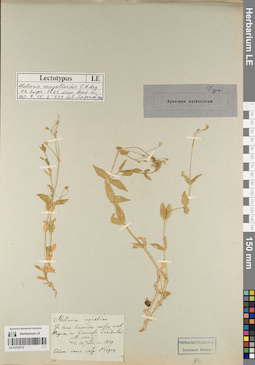 LE 01219772