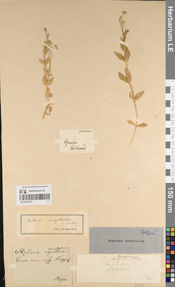 LE 01219773