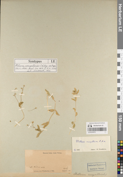 LE 01219775