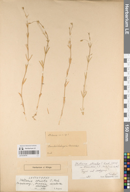 LE 01219776
