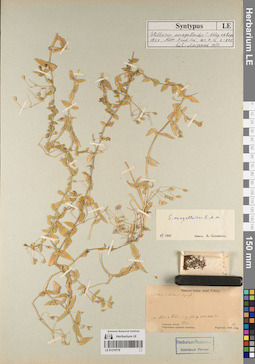 LE 01219778