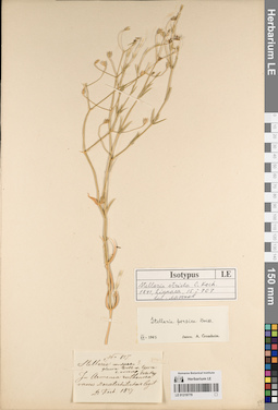 LE 01219779