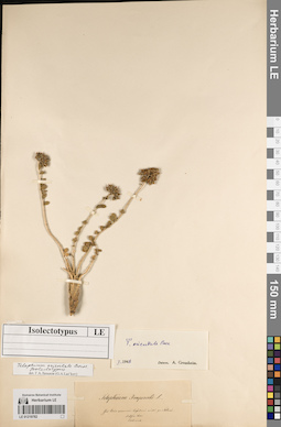 LE 01219782