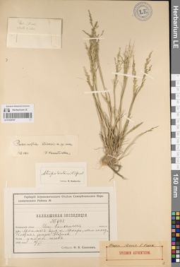 LE 01224107