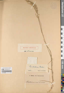 LE 01223889