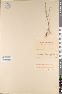 LE 01224146