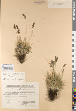 LE 01224155