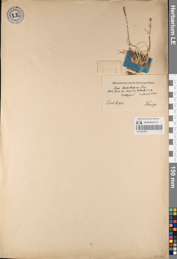 LE 01223916