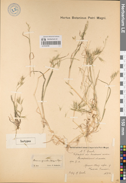 LE 01224185