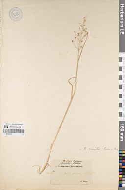 LE 01224187