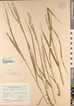 LE 01224196